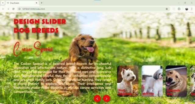 Slider page. Project-3